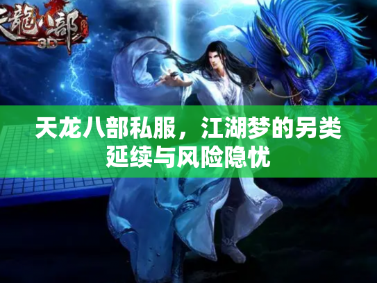 天龙八部私服，江湖梦的另类延续与风险隐忧