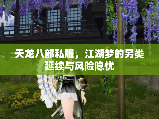 天龙八部私服，江湖梦的另类延续与风险隐忧