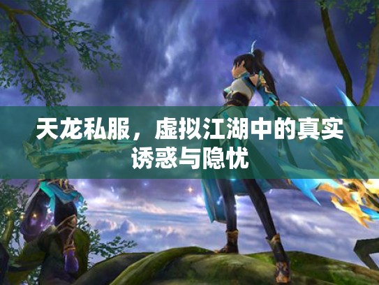 天龙私服，虚拟江湖中的真实诱惑与隐忧
