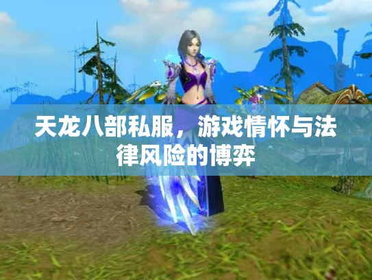 天龙八部私服，游戏情怀与法律风险的博弈