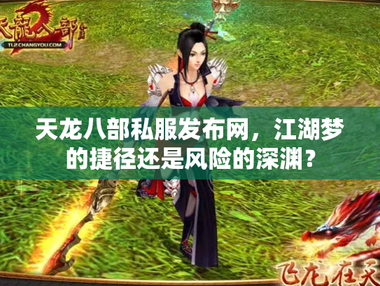 天龙八部私服发布网，江湖梦的捷径还是风险的深渊？