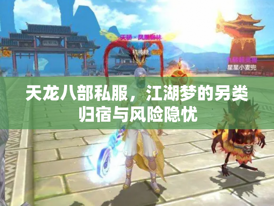 天龙八部私服，江湖梦的另类归宿与风险隐忧