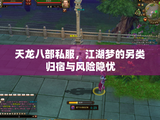 天龙八部私服，江湖梦的另类归宿与风险隐忧