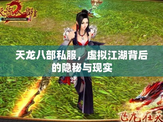 天龙八部私服，虚拟江湖背后的隐秘与现实
