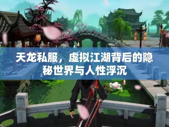 天龙私服，虚拟江湖背后的隐秘世界与人性浮沉