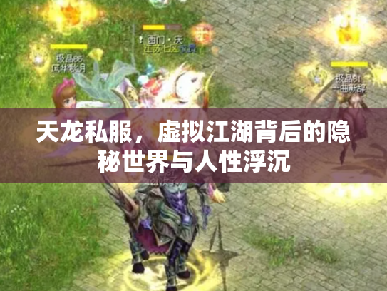 天龙私服，虚拟江湖背后的隐秘世界与人性浮沉