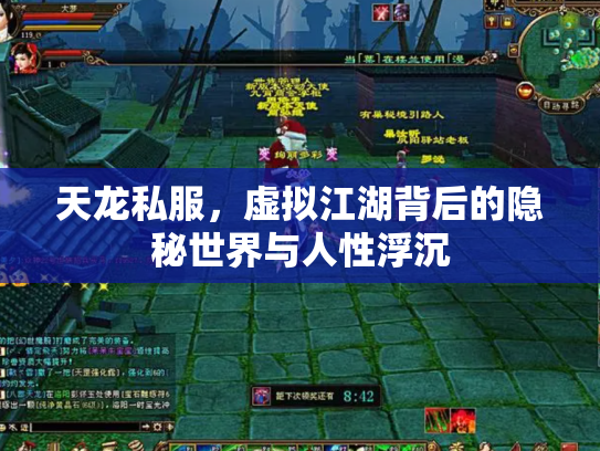 天龙私服，虚拟江湖背后的隐秘世界与人性浮沉