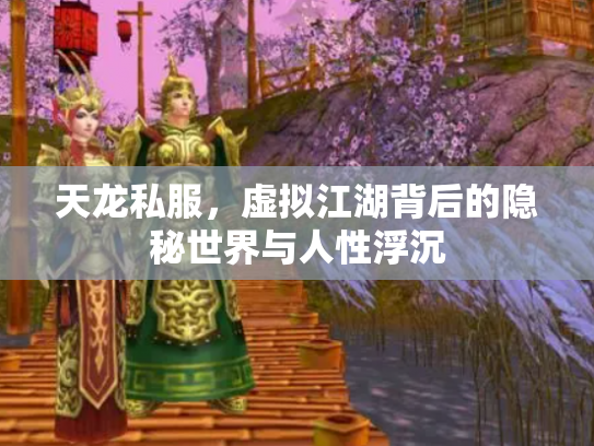 天龙私服，虚拟江湖背后的隐秘世界与人性浮沉