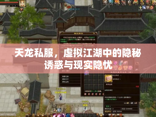 天龙私服，虚拟江湖中的隐秘诱惑与现实隐忧