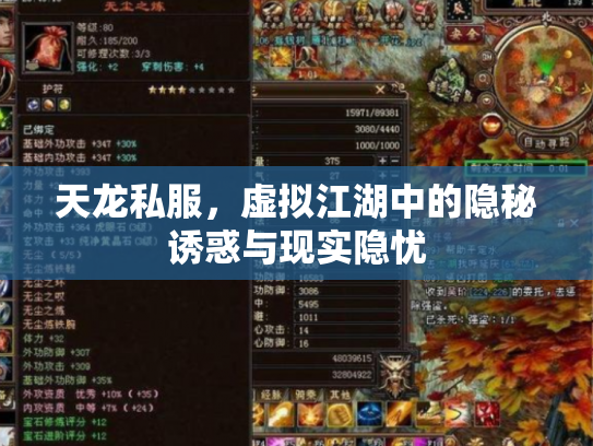天龙私服，虚拟江湖中的隐秘诱惑与现实隐忧