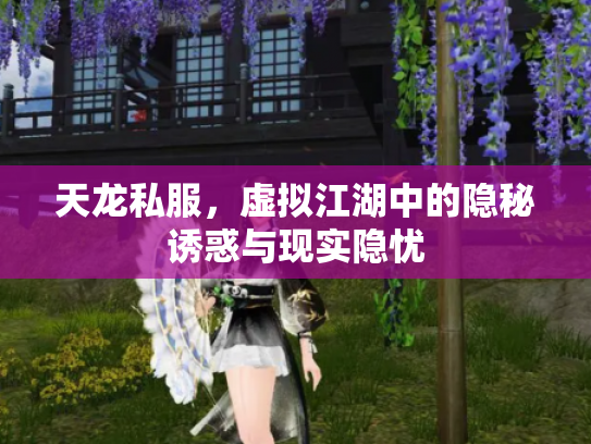 天龙私服，虚拟江湖中的隐秘诱惑与现实隐忧