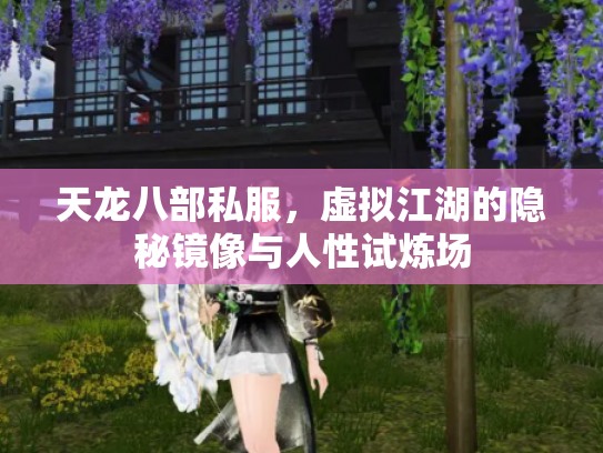 天龙八部私服，虚拟江湖的隐秘镜像与人性试炼场