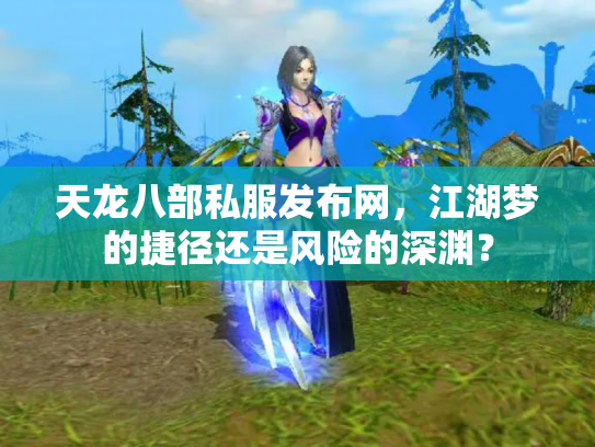 天龙八部私服发布网，江湖梦的捷径还是风险的深渊？