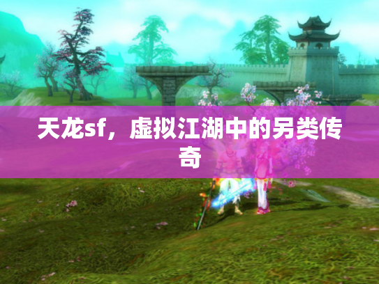 天龙sf，虚拟江湖中的另类传奇