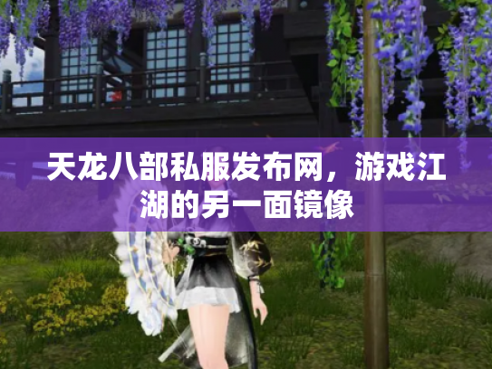 天龙八部私服发布网，游戏江湖的另一面镜像