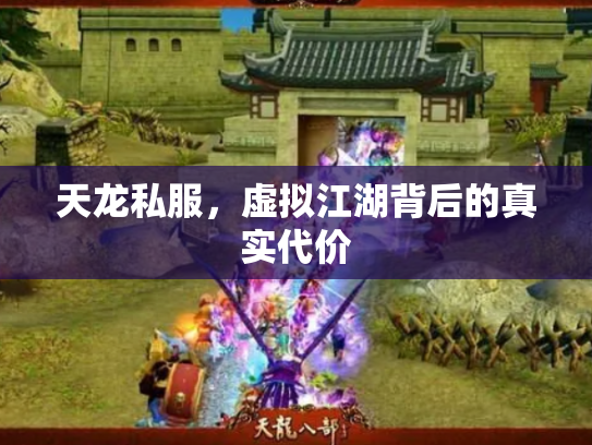 天龙私服，虚拟江湖背后的真实代价