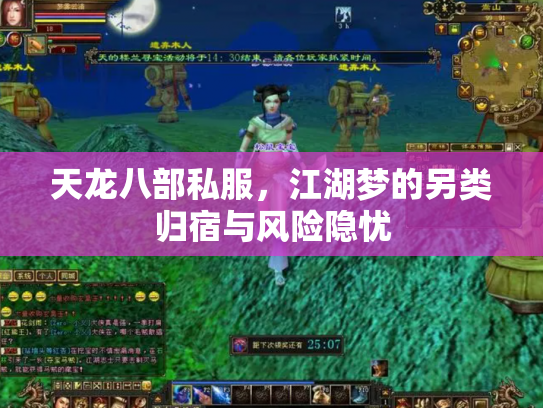 天龙八部私服，江湖梦的另类归宿与风险隐忧