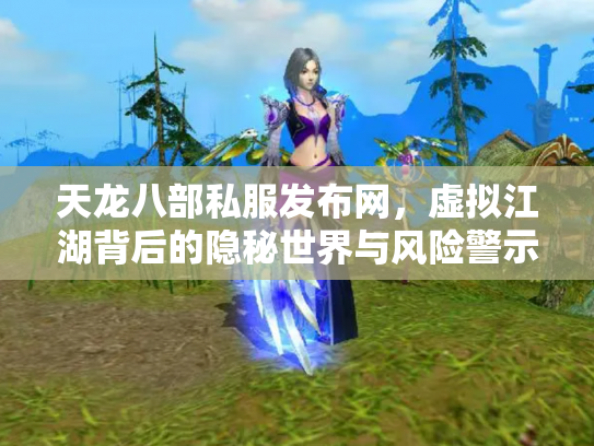 天龙八部私服发布网，虚拟江湖背后的隐秘世界与风险警示