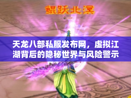 天龙八部私服发布网，虚拟江湖背后的隐秘世界与风险警示