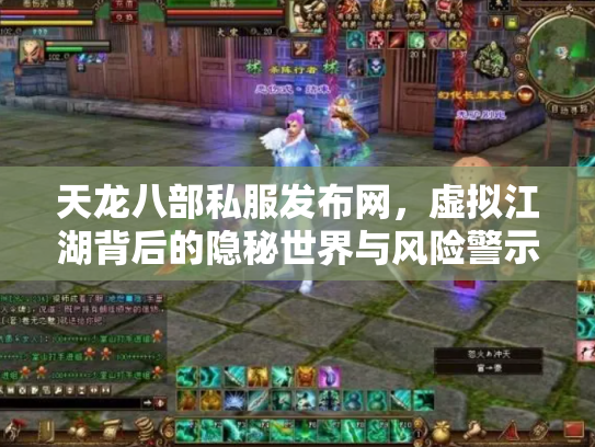 天龙八部私服发布网，虚拟江湖背后的隐秘世界与风险警示