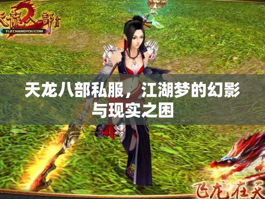 天龙八部私服，江湖梦的幻影与现实之困