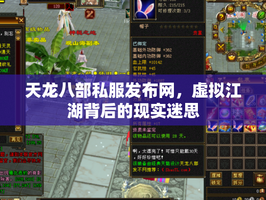 天龙八部私服发布网，虚拟江湖背后的现实迷思