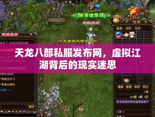 天龙八部私服发布网，虚拟江湖背后的现实迷思