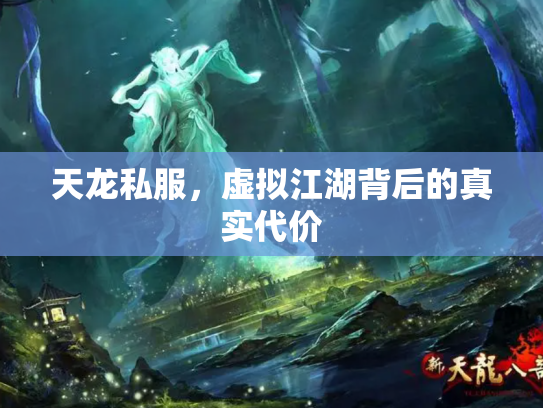 天龙私服，虚拟江湖背后的真实代价