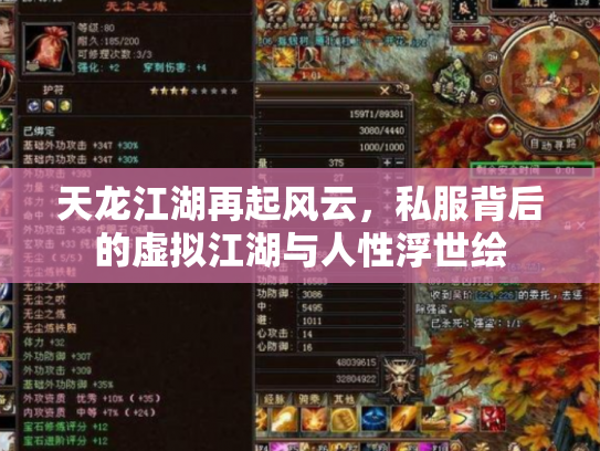 天龙江湖再起风云，私服背后的虚拟江湖与人性浮世绘