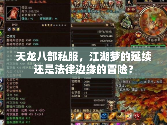天龙八部私服，江湖梦的延续还是法律边缘的冒险？