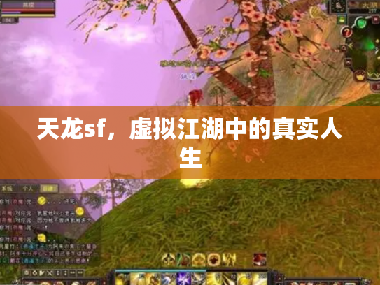 天龙sf，虚拟江湖中的真实人生