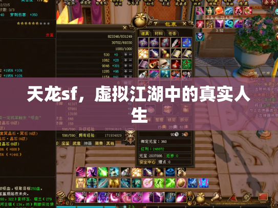 天龙sf，虚拟江湖中的真实人生