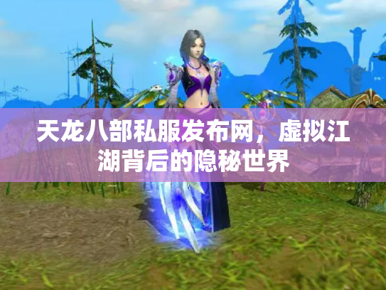天龙八部私服发布网，虚拟江湖背后的隐秘世界