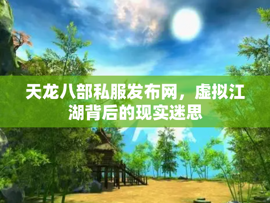 天龙八部私服发布网，虚拟江湖背后的现实迷思