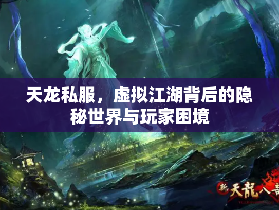 天龙私服，虚拟江湖背后的隐秘世界与玩家困境