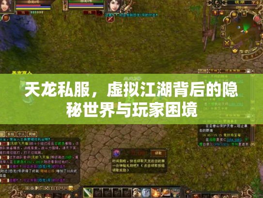 天龙私服，虚拟江湖背后的隐秘世界与玩家困境
