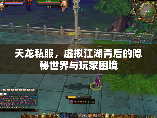 天龙私服，虚拟江湖背后的隐秘世界与玩家困境