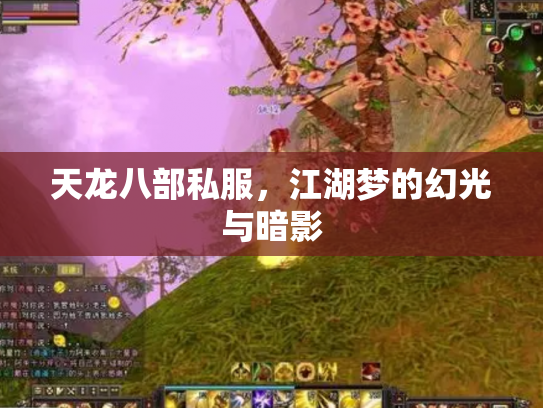 天龙八部私服，江湖梦的幻光与暗影