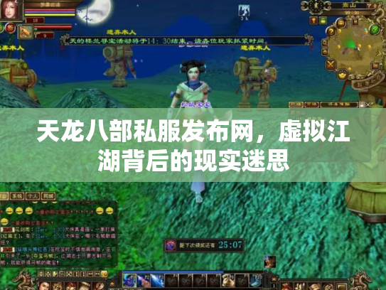 天龙八部私服发布网，虚拟江湖背后的现实迷思