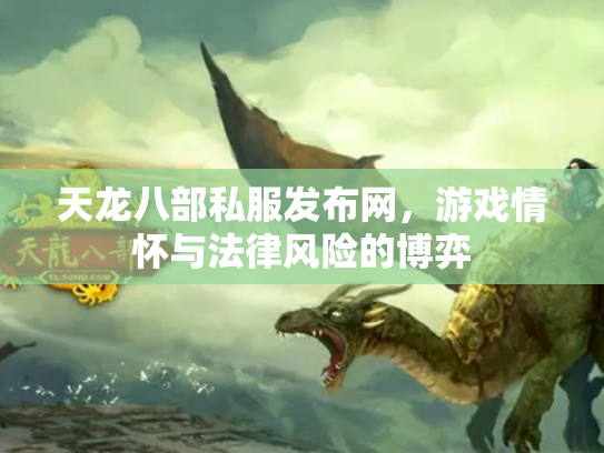 天龙八部私服发布网，游戏情怀与法律风险的博弈