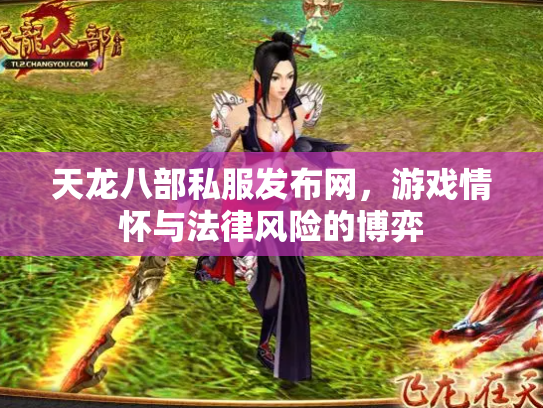 天龙八部私服发布网，游戏情怀与法律风险的博弈