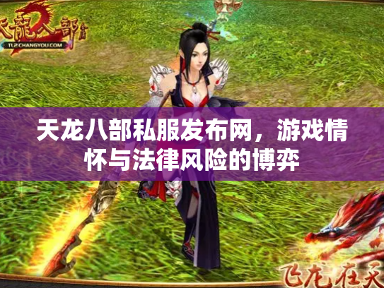 天龙八部私服发布网，游戏情怀与法律风险的博弈
