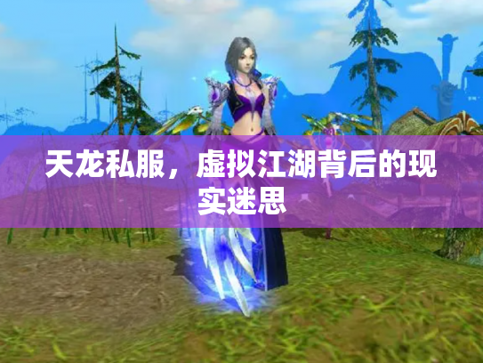 天龙私服，虚拟江湖背后的现实迷思