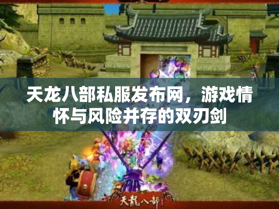 天龙八部私服发布网，游戏情怀与风险并存的双刃剑
