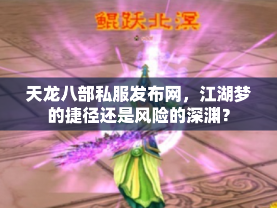 天龙八部私服发布网，江湖梦的捷径还是风险的深渊？