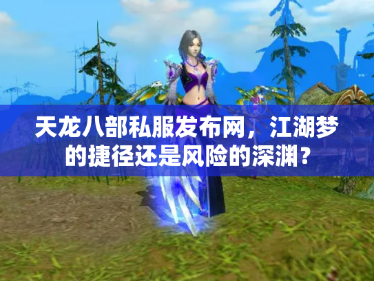天龙八部私服发布网，江湖梦的捷径还是风险的深渊？