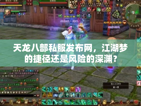 天龙八部私服发布网，江湖梦的捷径还是风险的深渊？