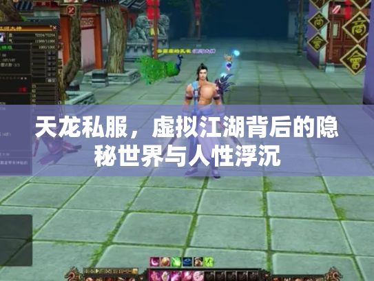 天龙私服，虚拟江湖背后的隐秘世界与人性浮沉