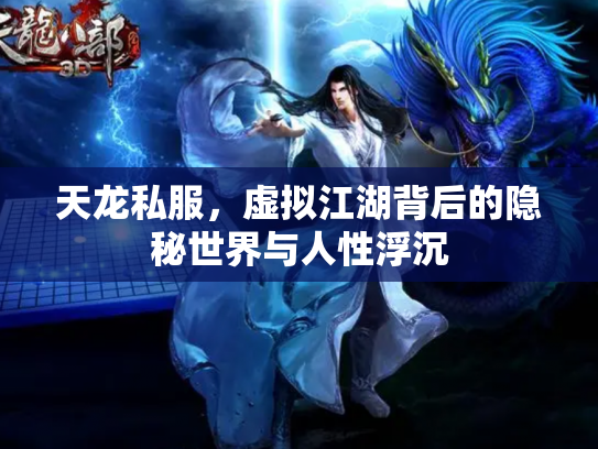 天龙私服，虚拟江湖背后的隐秘世界与人性浮沉