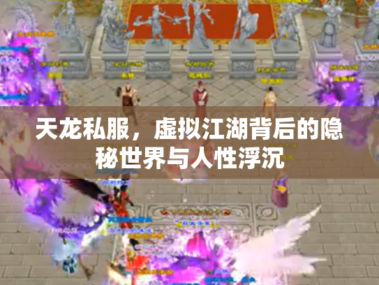天龙私服，虚拟江湖背后的隐秘世界与人性浮沉